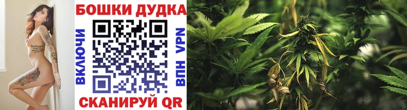 Купить закладку Гашиш  A PVP  Меф  Бошки Шишки  КОКАИН  Новомичуринск