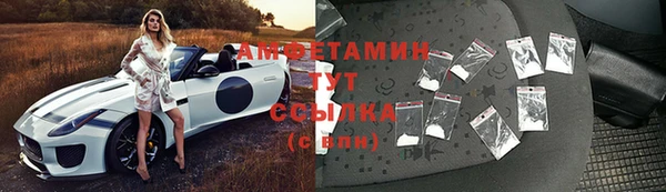 сатива Бородино