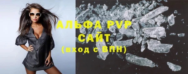 сатива Бородино