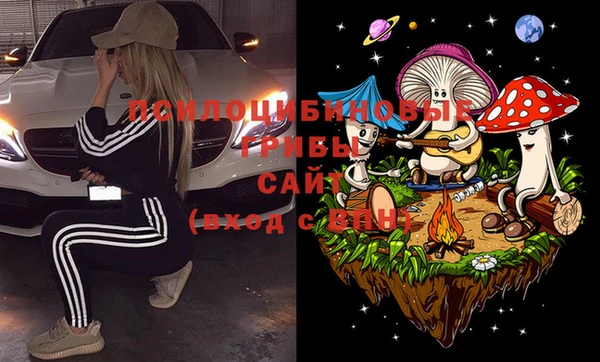 крисы Бугульма