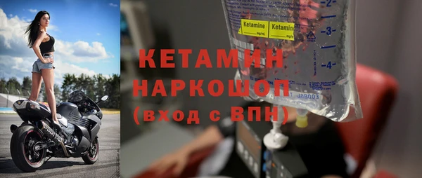 сатива Бородино