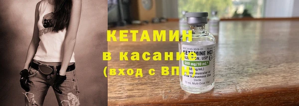 сатива Бородино