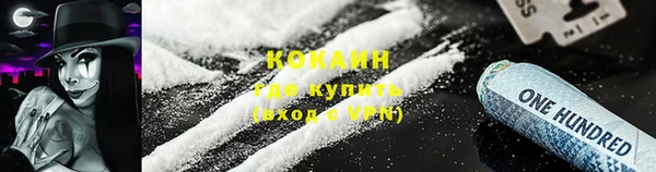 сатива Бородино