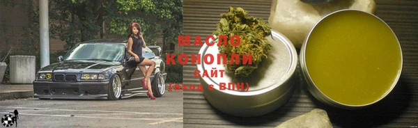 сатива Бородино