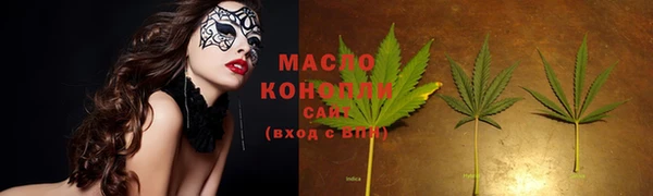сатива Бородино