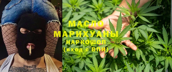 сатива Бородино
