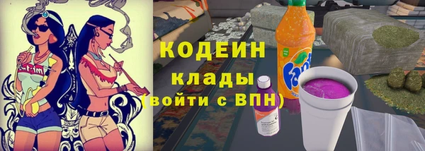 крисы Бугульма
