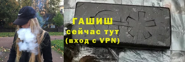 сатива Бородино